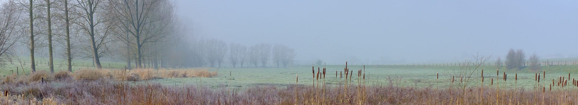 Padstappers Geraardsbergen vzw