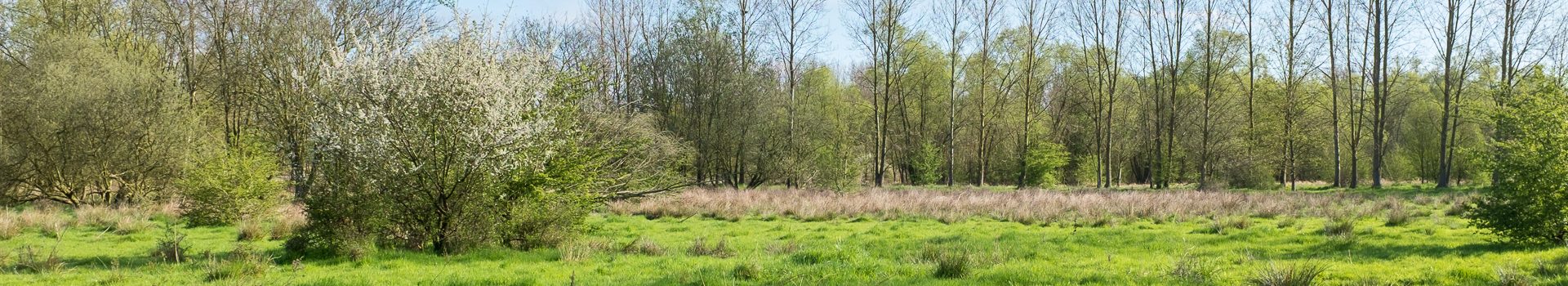 Dinsdagwandeling Boemebekemolen Michelbeke