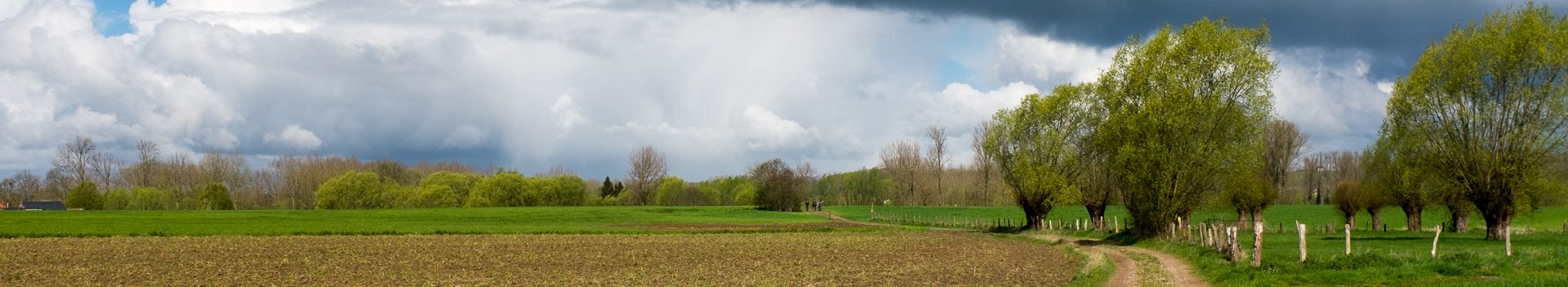 Inwandeling Mattentaartentocht