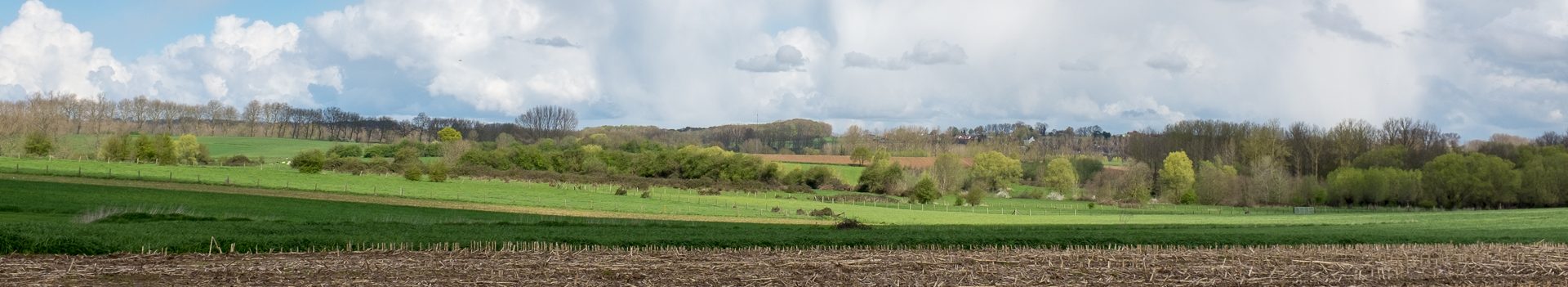 Dinsdagwandeling Boembeke