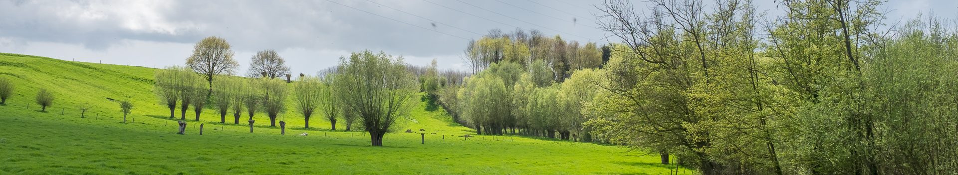 Dinsdagwandeling Hunnegem