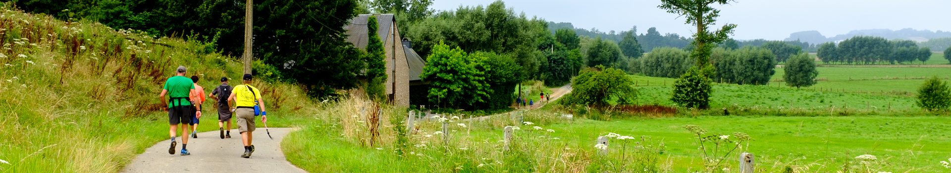 Dinsdagwandelingen en eigen tochten