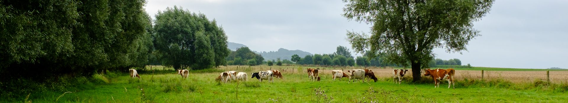 Padstappers Geraardsbergen vzw