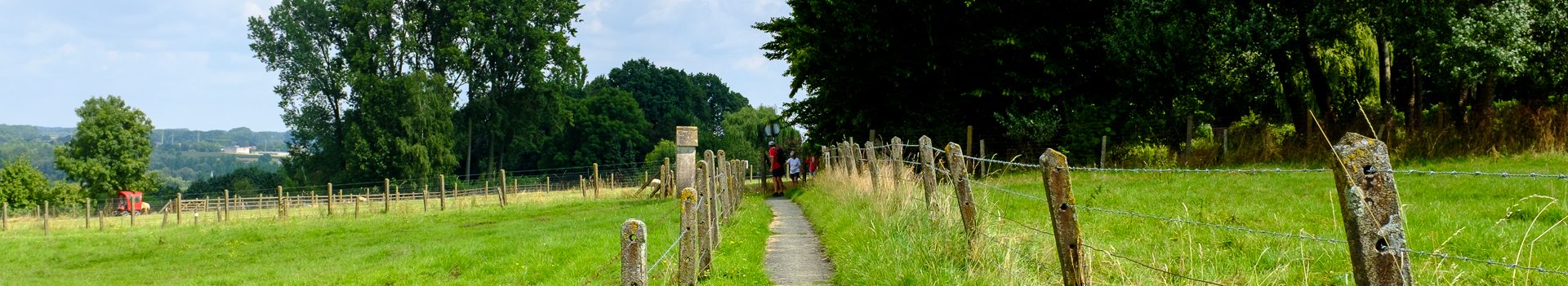 Dinsdagwandeling Viane