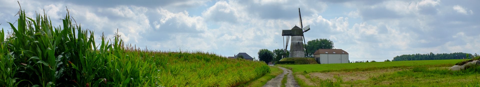 Busreis naar Geel