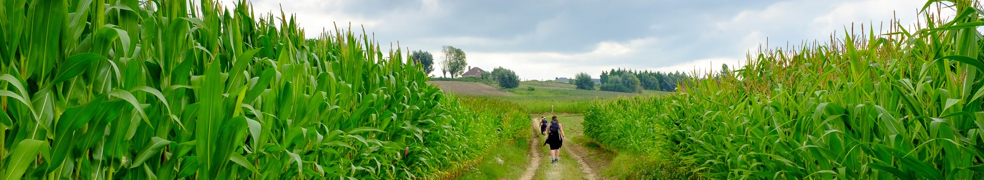 Padstappers Geraardsbergen vzw