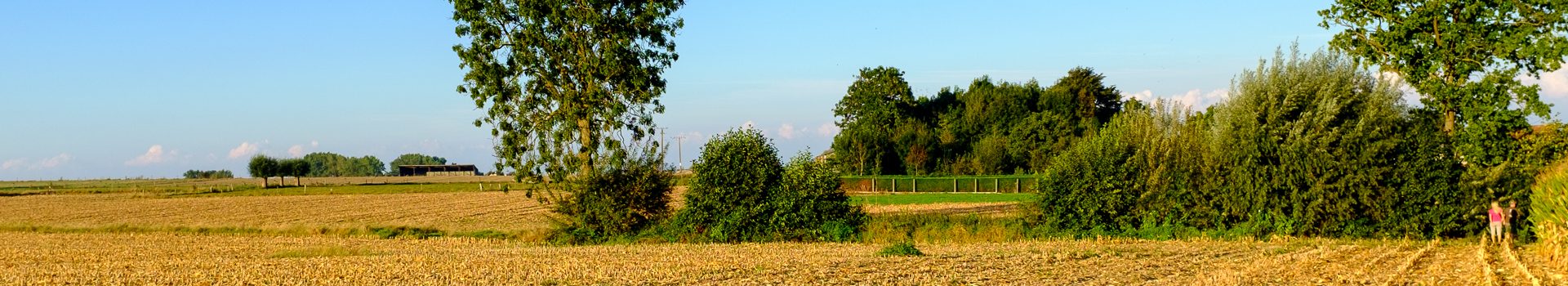 Padstappers Geraardsbergen vzw