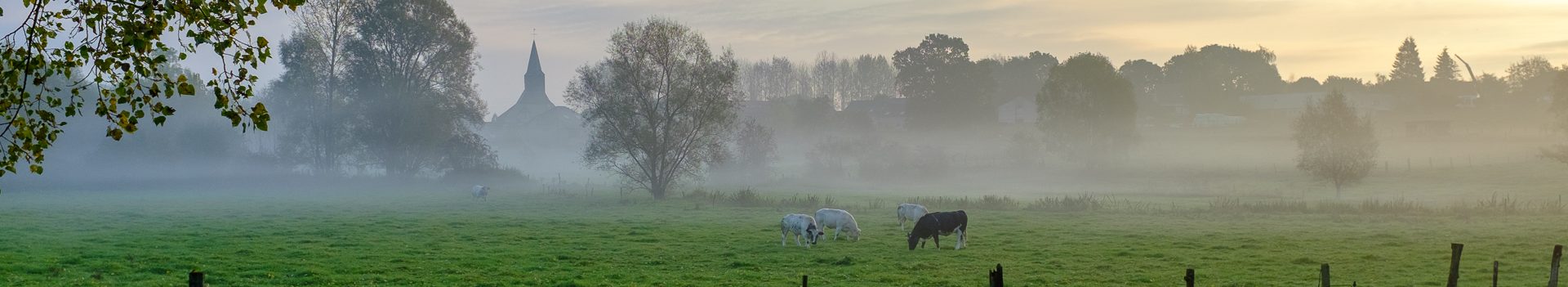 Padstappers Geraardsbergen vzw