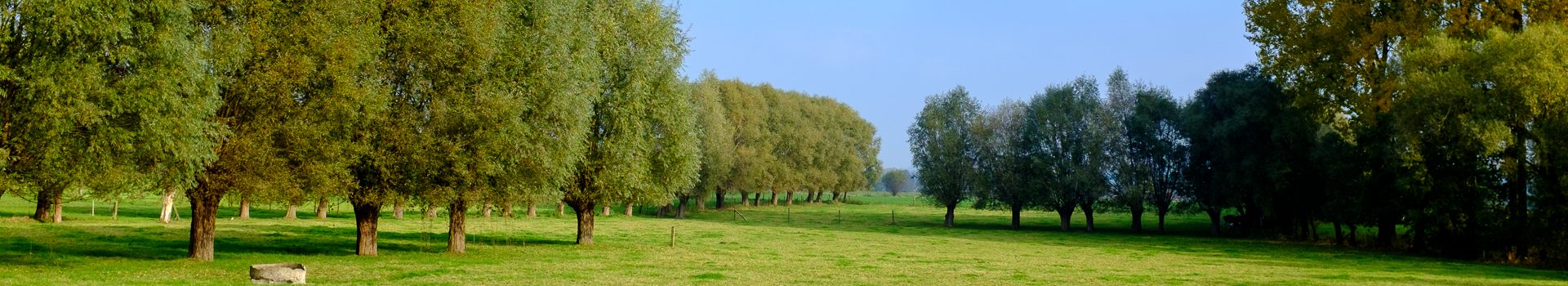 Het Padstapperke van oktober