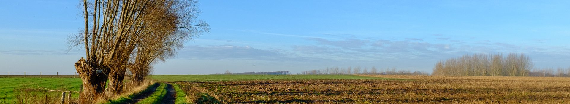 Busreis Sint-Laureins