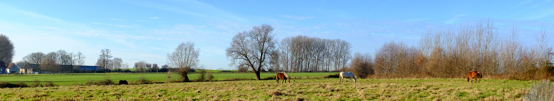 Boeiende wandelzomer in de pers…