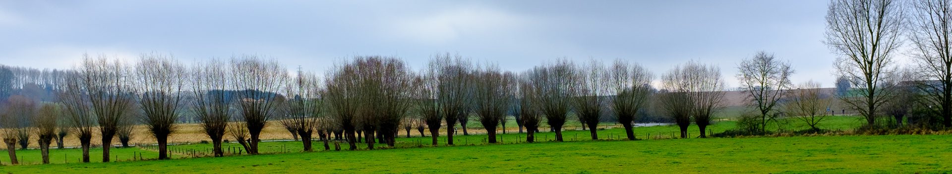 Vlaanderen Wandelt Lokaal te Geraardsbergen