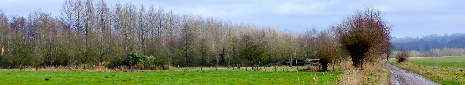 Padstappers Geraardsbergen vzw