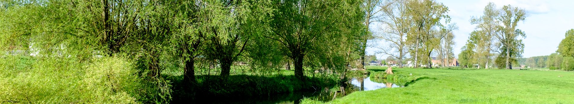 Dinsdagwandeling Michelbeke