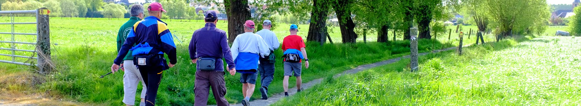 Dinsdagwandeling Nederboelare