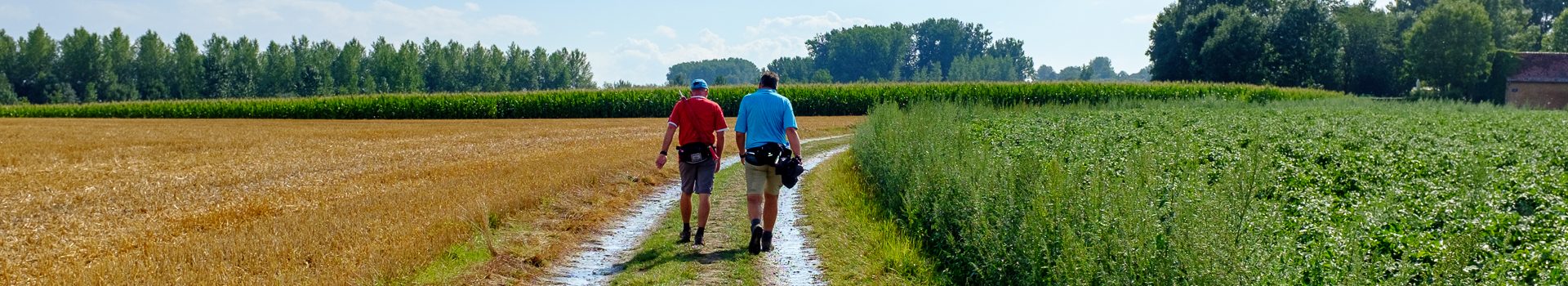 Dinsdagwandeling Viane