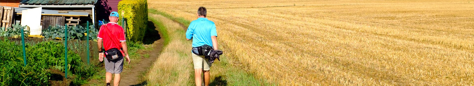 Dinsdagwandeling Ophasselt