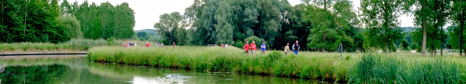 Dinsdagwandeling Nieuwenhove