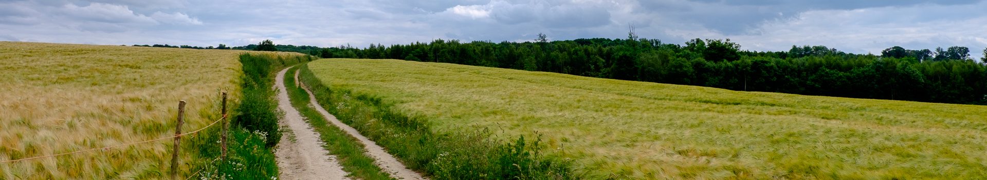 cropped-20171105-NederlandseVeluwe-23-DSCF8324-1.jpg