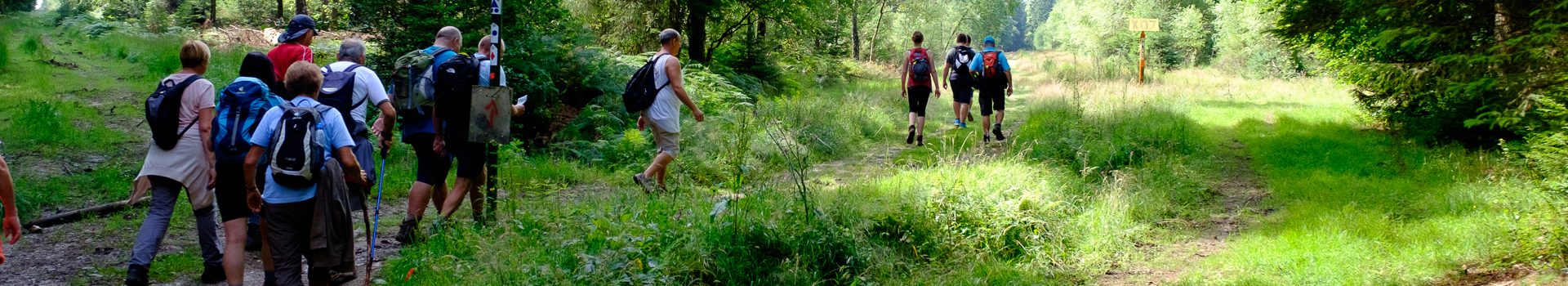 We hervatten onze dinsdagwandelingen!