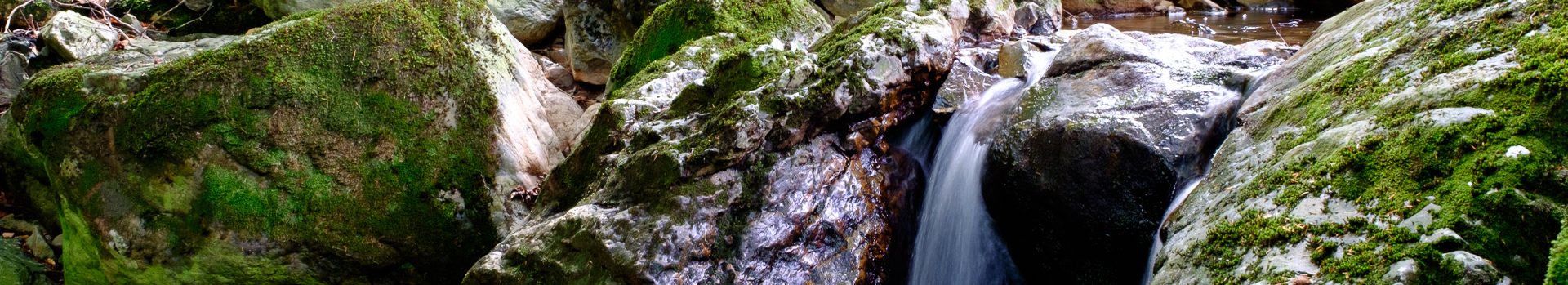 Alternatieve wandelingen in Corona-tijden