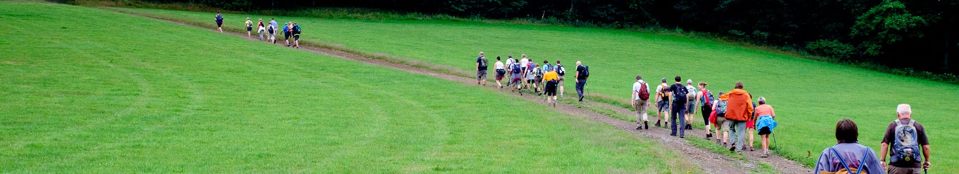 Dinsdagwandeling Repespeeltje