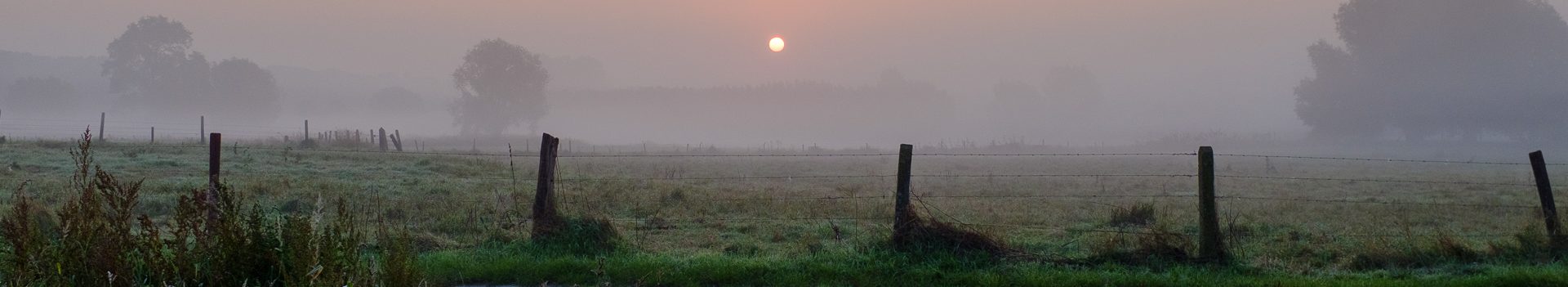 Padstappers Geraardsbergen vzw