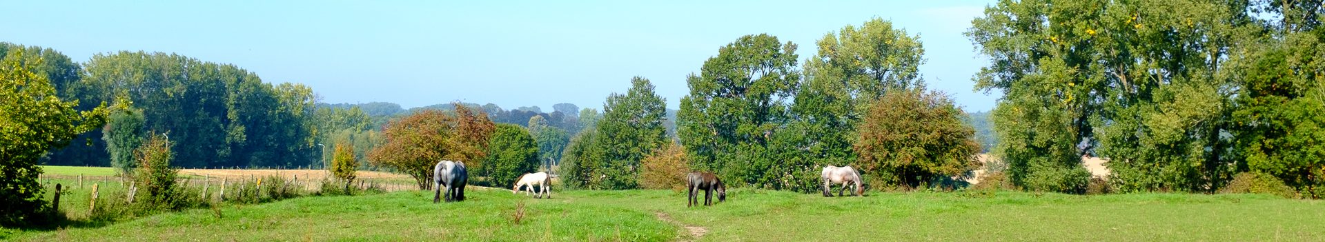 Dinsdagwandeling Boembeke