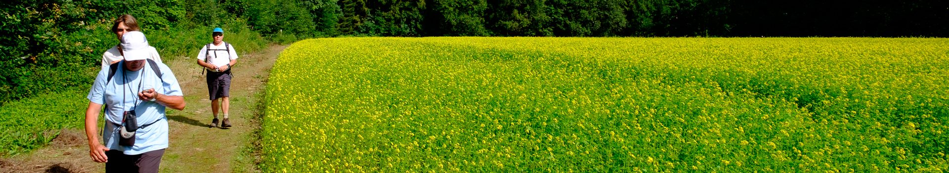 Alternatieve wandelingen in Corona-tijden