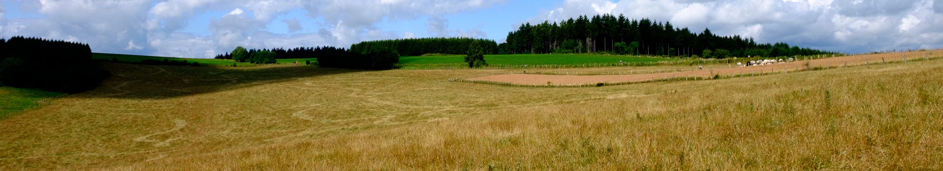 Foto’s en uitslagen Gaverswandeling