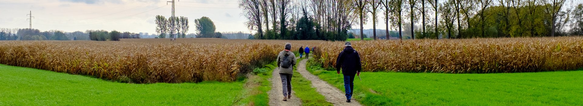 Dinsdagwandeling Overboelare