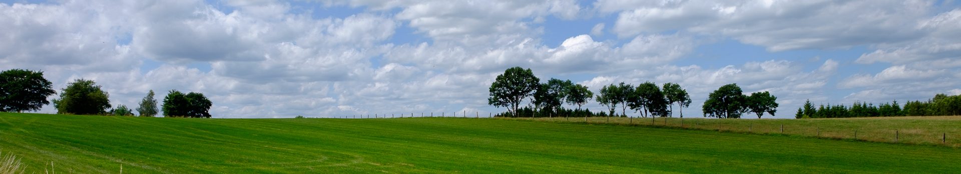 Dinsdagwandeling Steenhuize