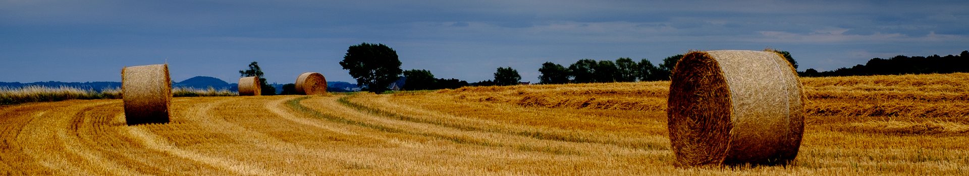 Busreis naar Bütgenbach