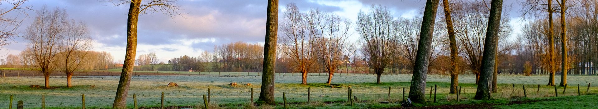 Dinsdagwandeling Goeferdinge