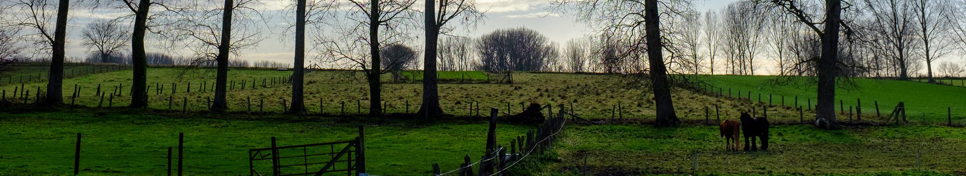 Dinsdagwandeling Nieuwenhove