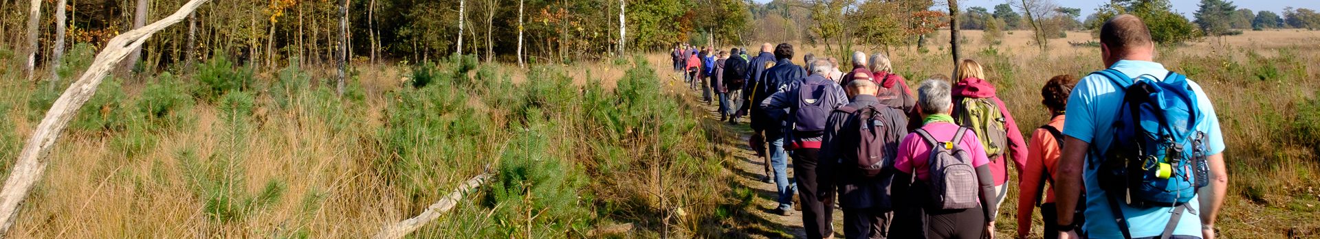 Categorie: <span>Walk The Muur</span>
