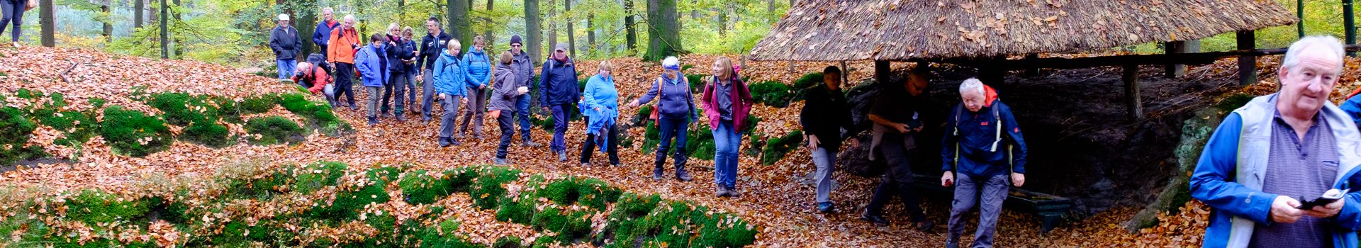 Dinsdagwandeling Ophasselt