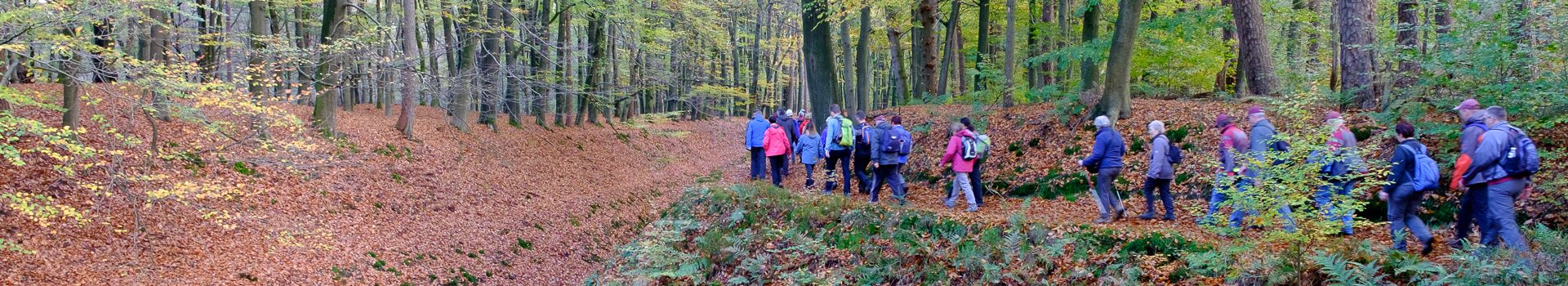 Padstappers Geraardsbergen vzw