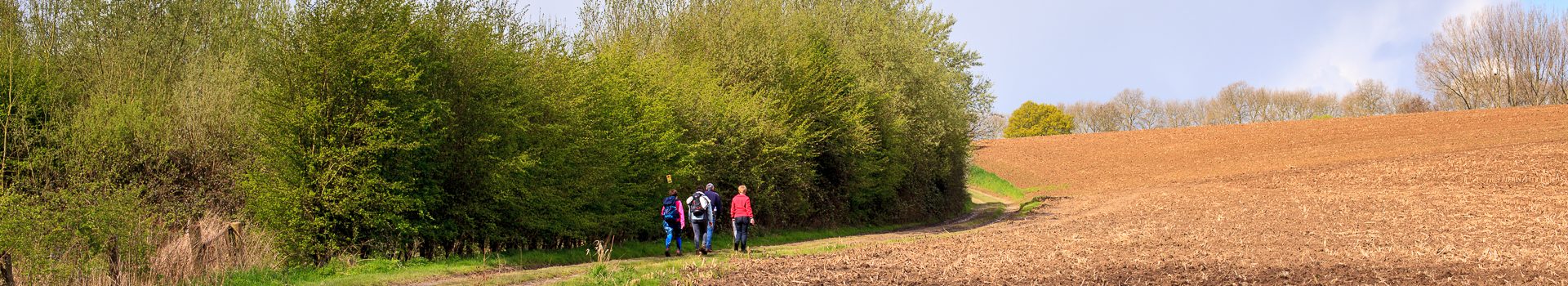 Dinsdagwandeling Overboelare