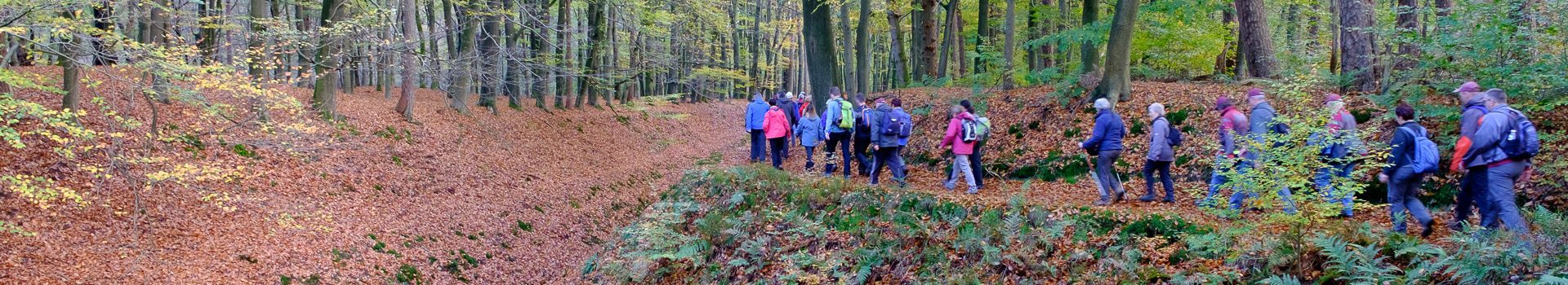 Padstappers Geraardsbergen vzw